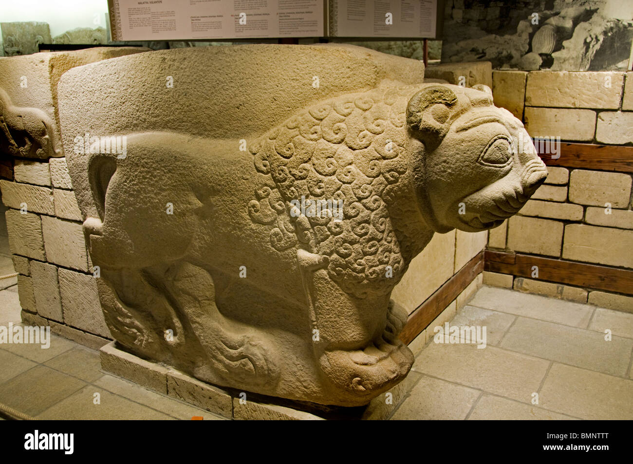 Lion Malatya Aslantepe Neo-Hittite 1180 BC 700 v. Chr. Anatolische Museum Ankara Stockfoto