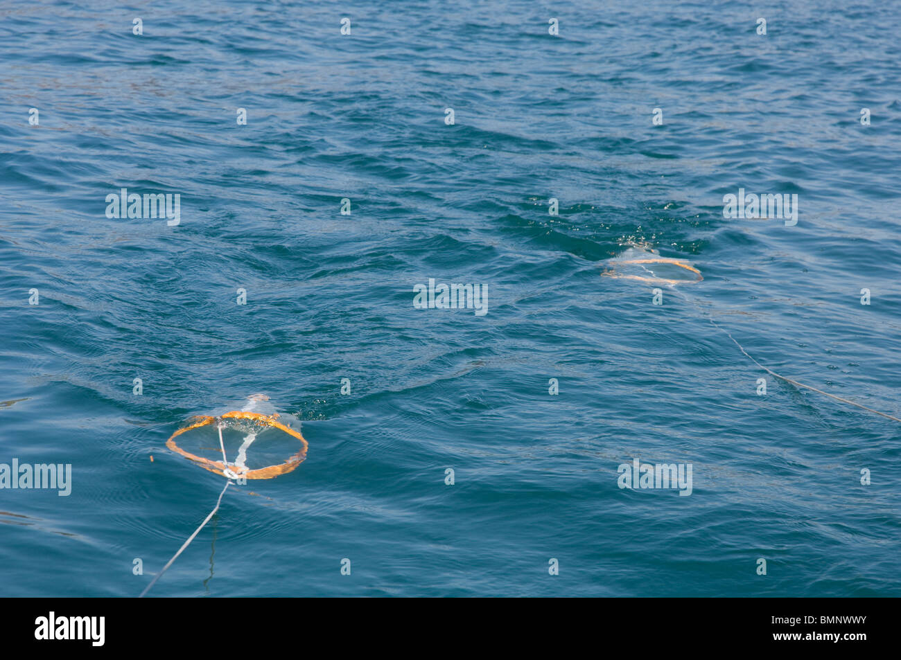 Zwei net Plankton für Zooplankton und Phytoplankton