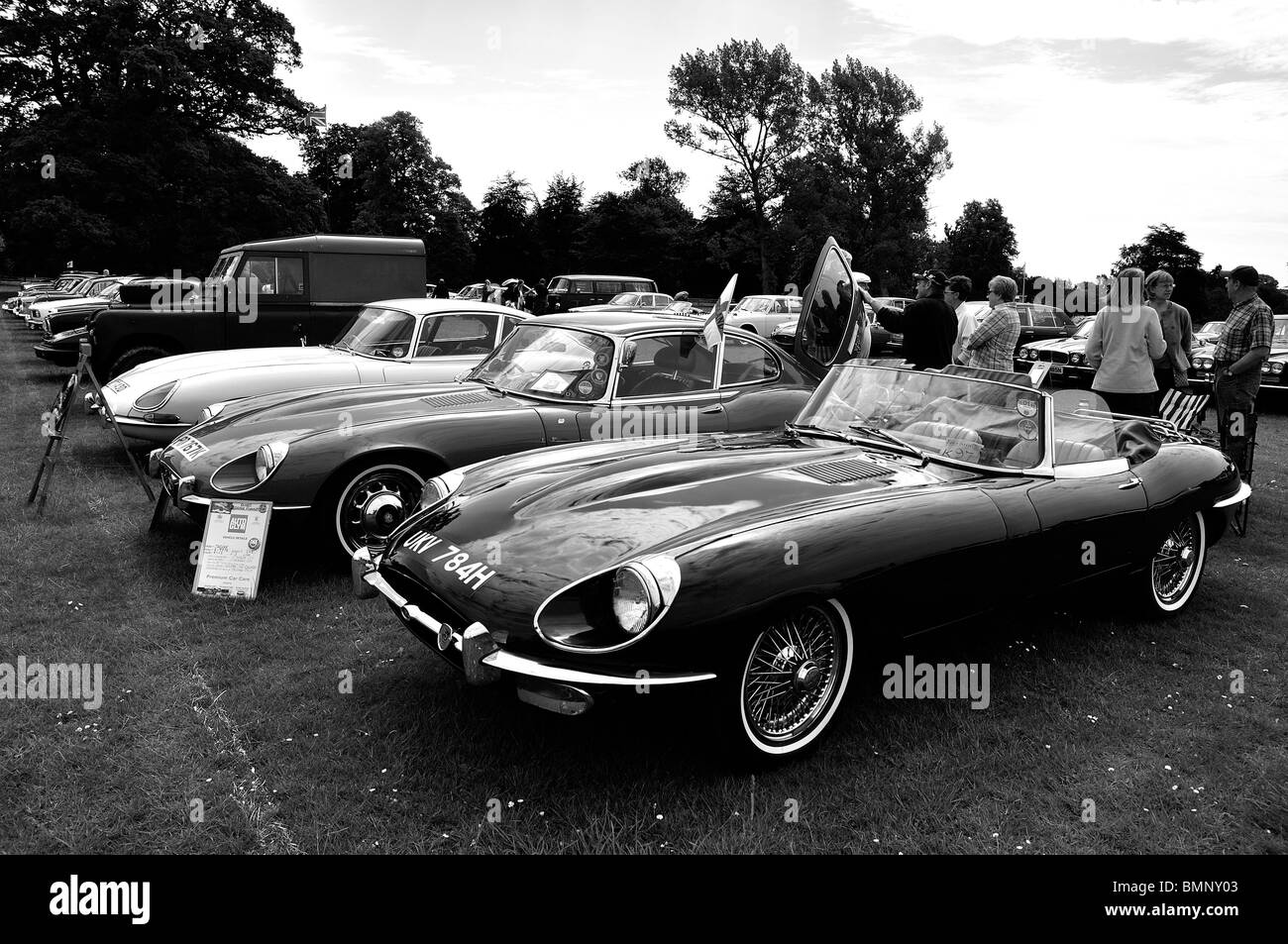 Jaguar E-Type Modelle bei Classic Car Show in Luton 2010 Stockfoto