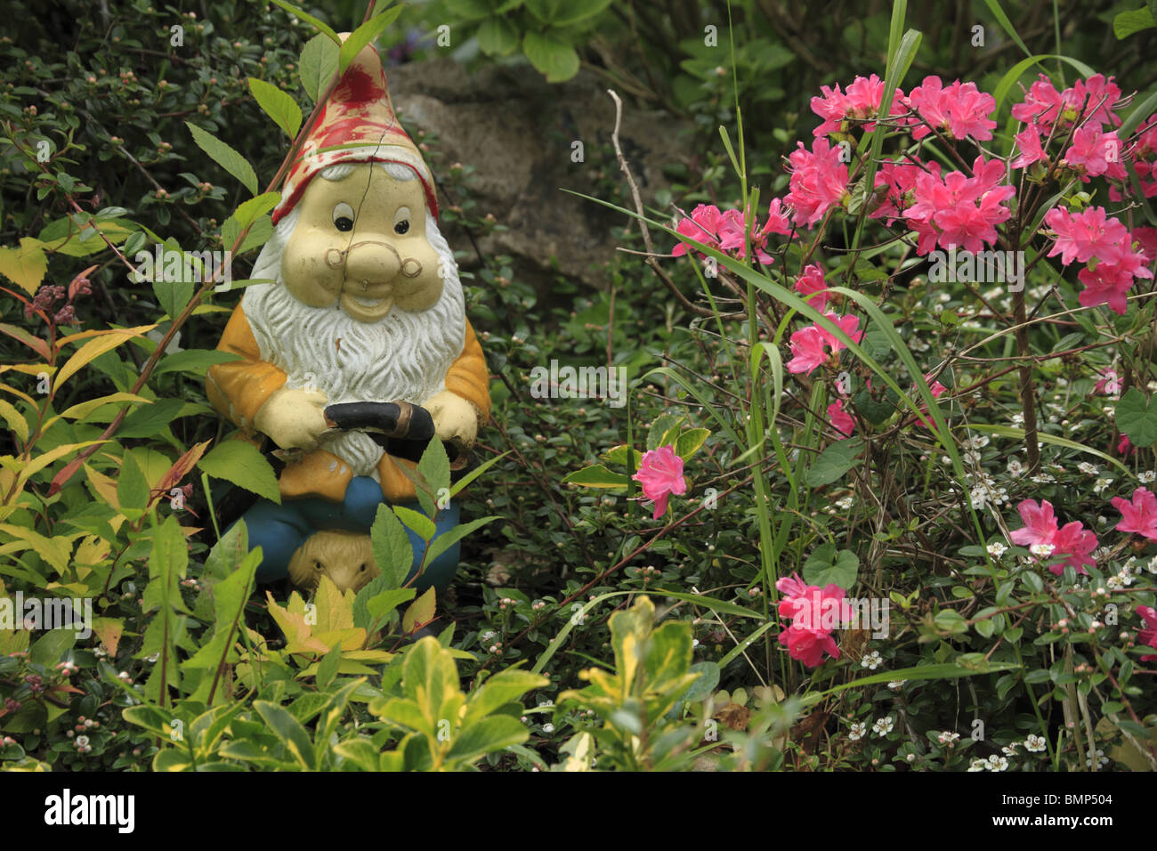 Ein Gartenzwerg in einem ländlichen irischen Garten. Stockfoto