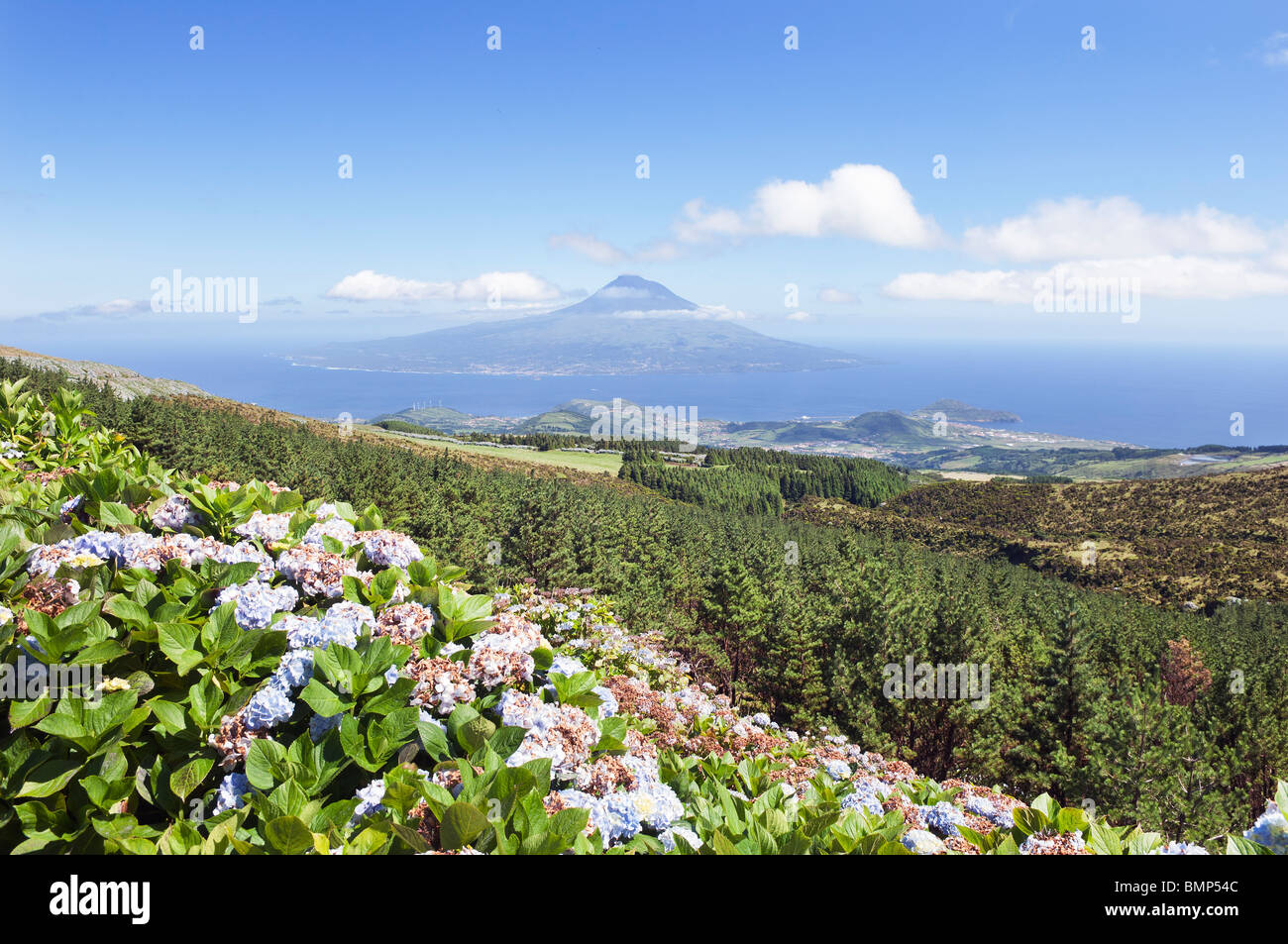 Landschaft von Faial mit Pico Insel im Hintergrund, Azoren, Portugal Stockfoto
