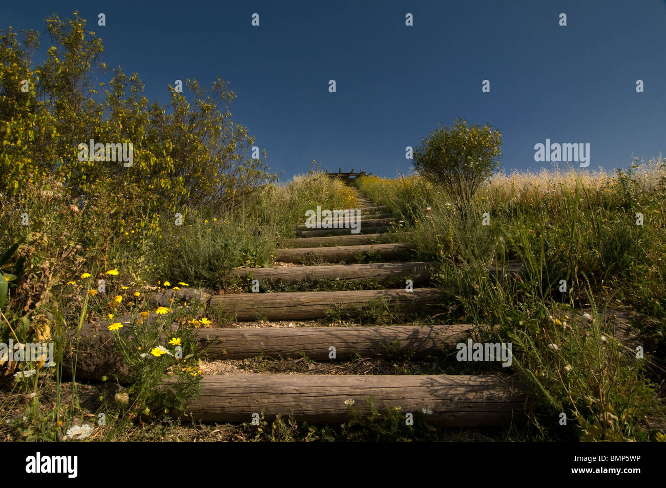 Landschaft im Jordantal Israel Stockfoto