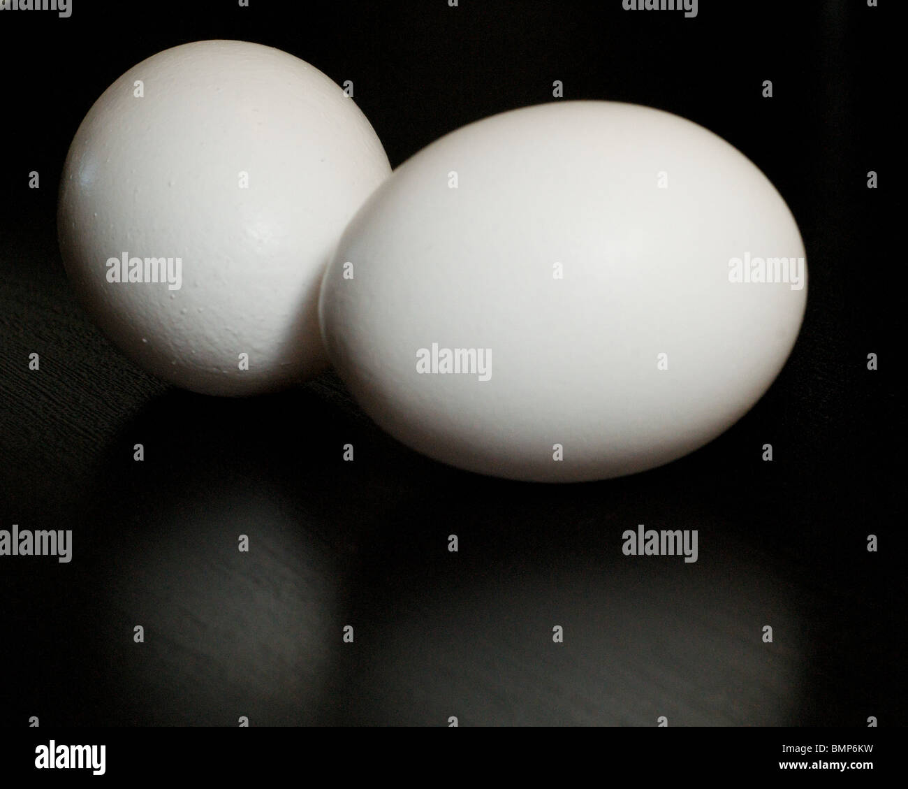 Ei mit Reflexionen Stockfoto