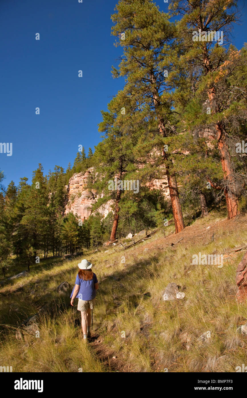 Wanderer auf Arizona National Scenic Trail unterhalb der Sandsteinfelsen von Anderson Mesa, Coconino National Forest, Flagstaff, Arizona USA Stockfoto