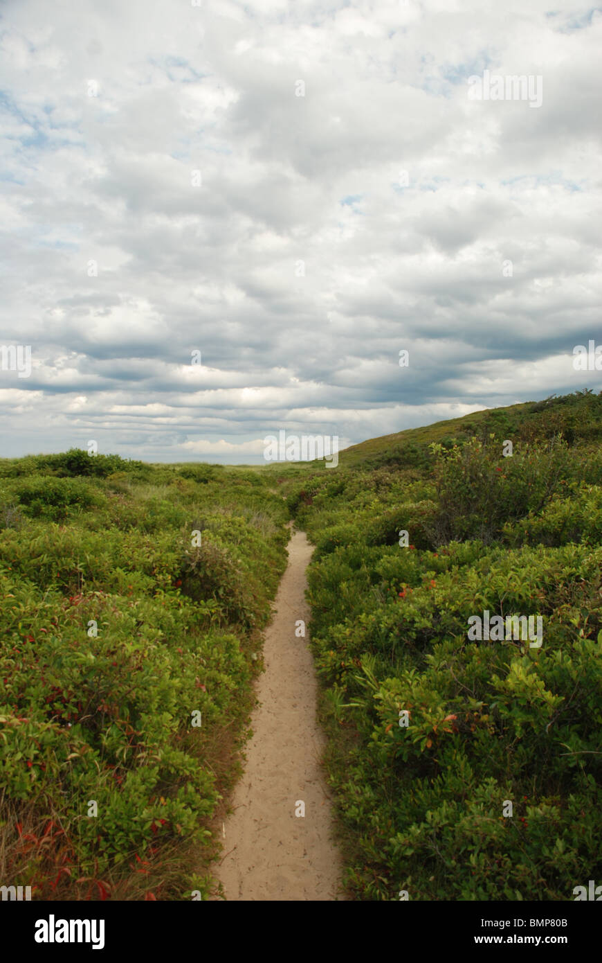 Cape Cod Beach Weg bei bewölktem Himmel Stockfoto