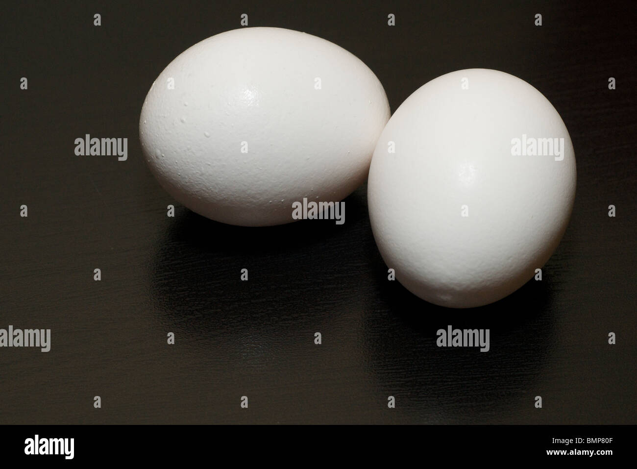 Ei mit Schatten Stockfoto