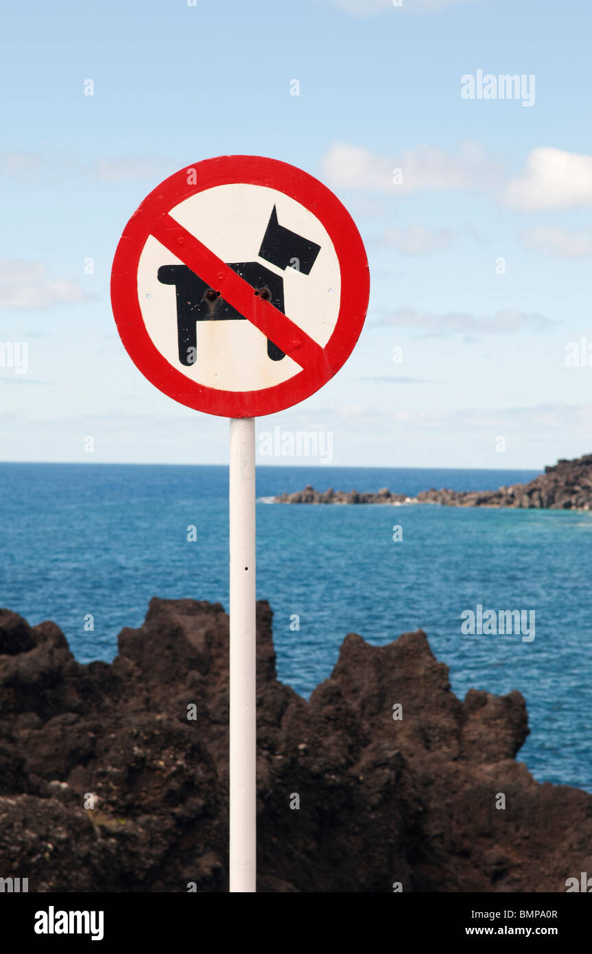 Keine Hunde erlaubt Zeichen in die Küste von Faial, Azoren, Portugal Stockfoto