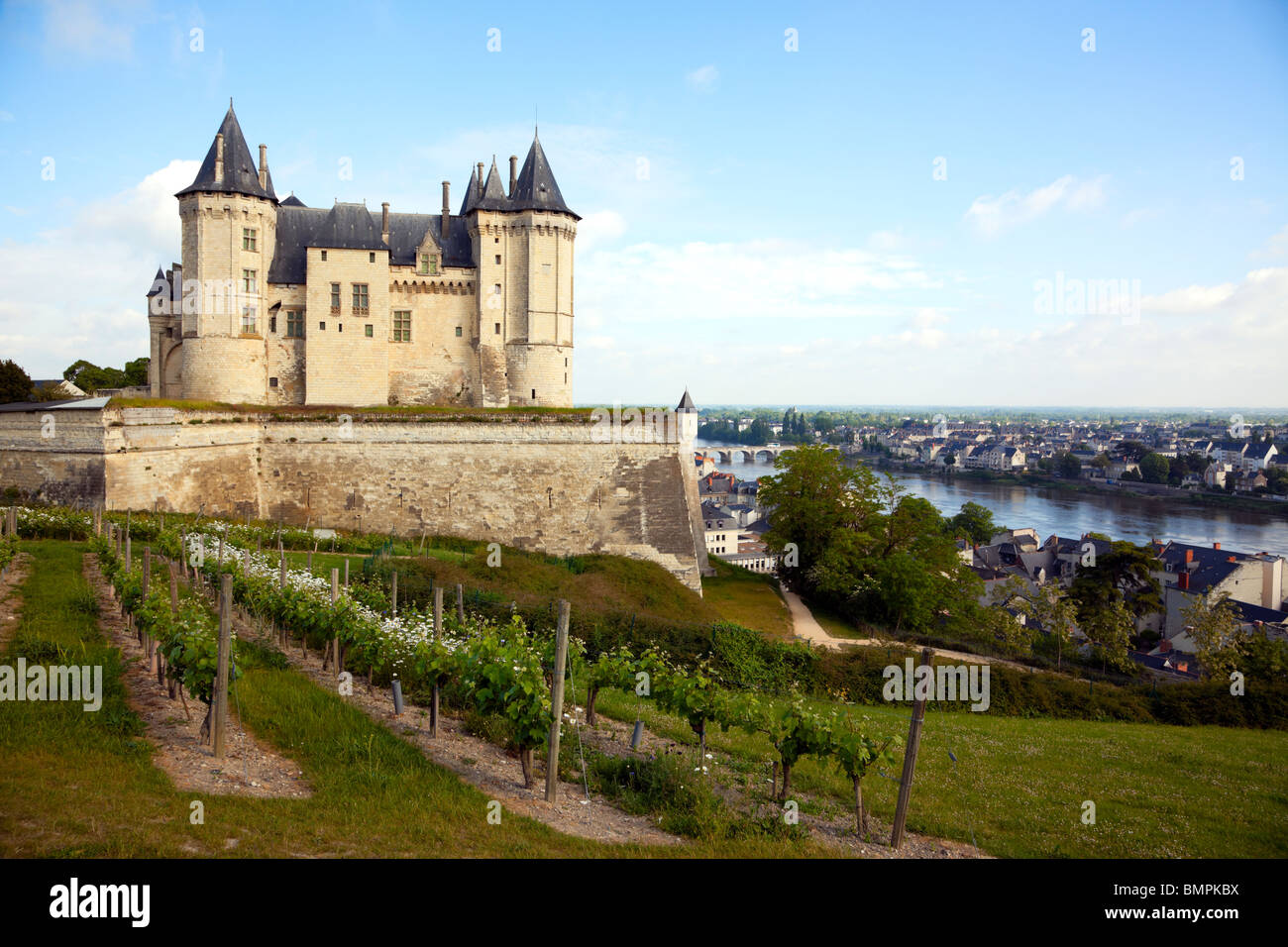 Burg und Stadt von Saumur an der Loire, Weinberge im Vordergrund Stockfoto