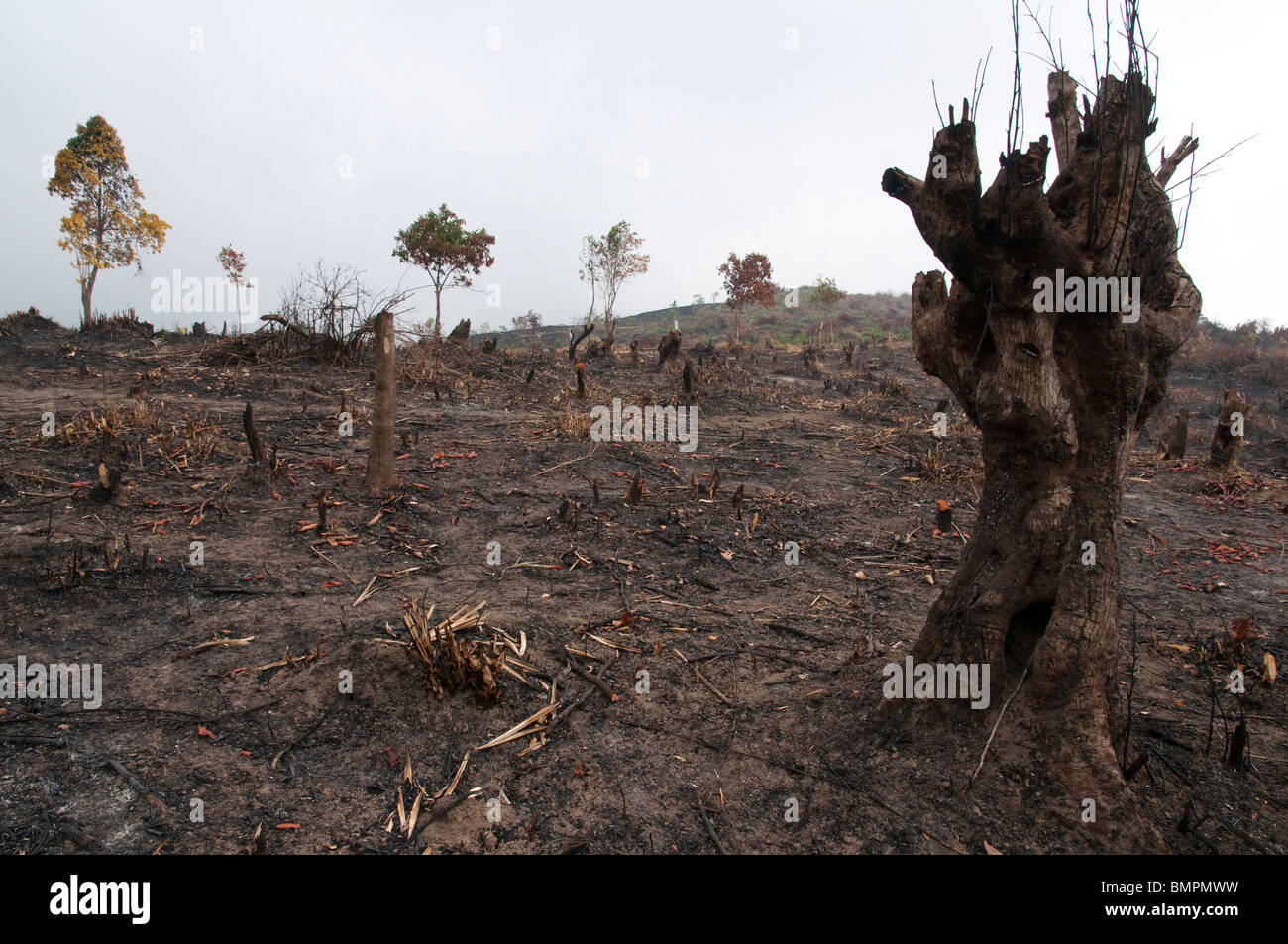 Myanmar. Burma. Malawmyin Bereich. abgeholzt und verbrannte Hügel Stockfoto