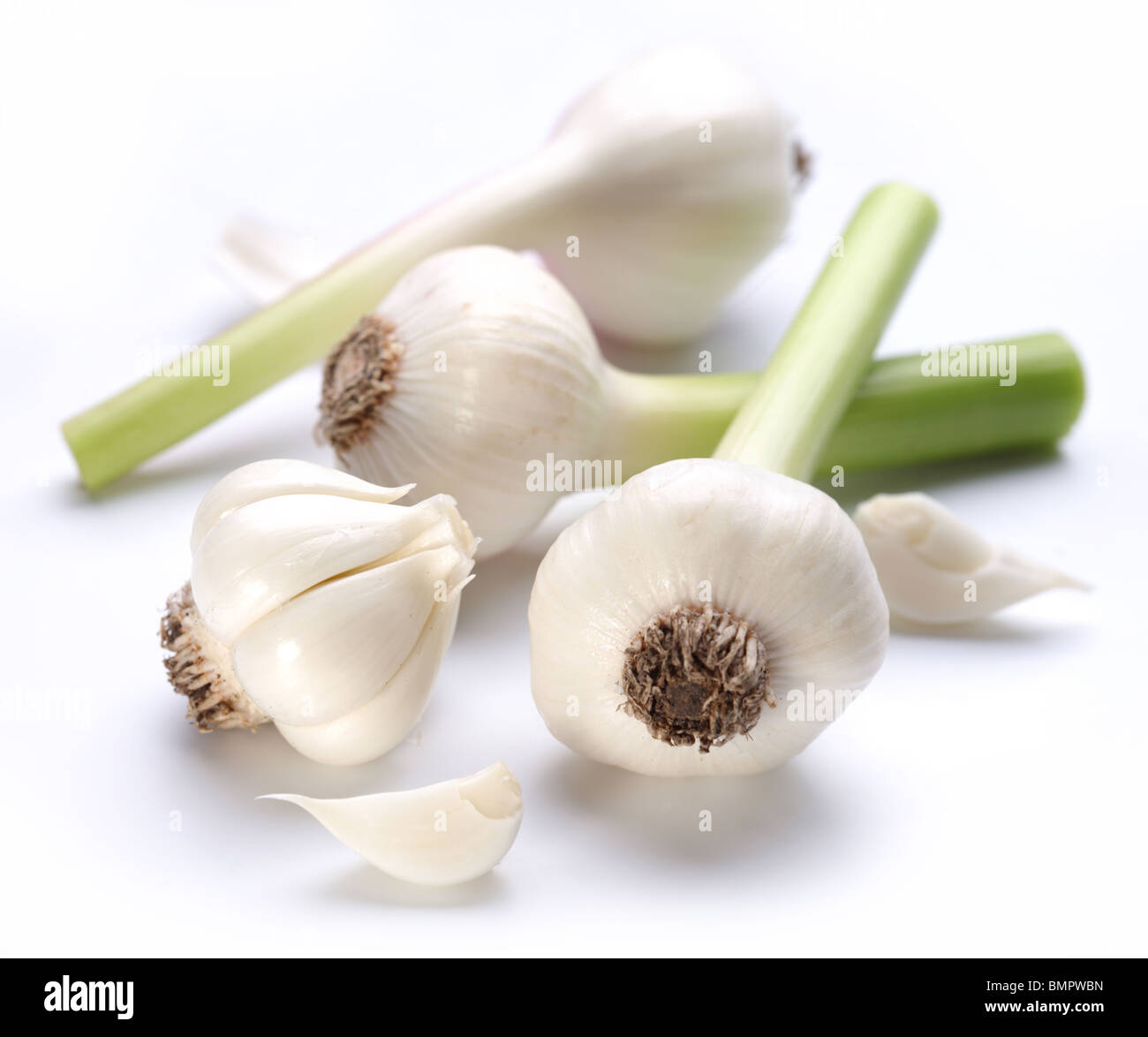 junger Knoblauch auf weißem Hintergrund Stockfoto