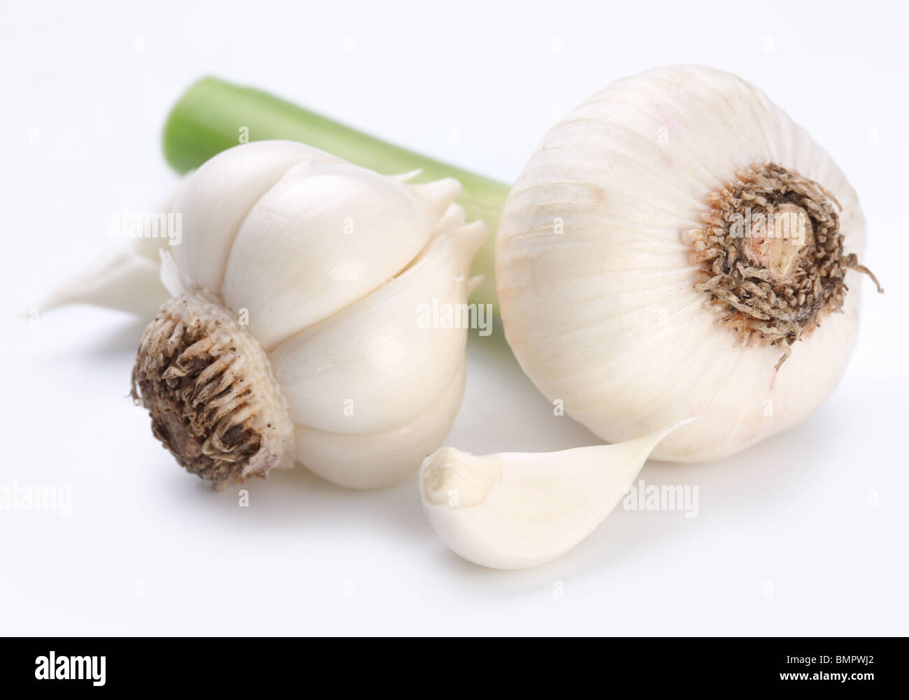 junger Knoblauch auf weißem Hintergrund Stockfoto