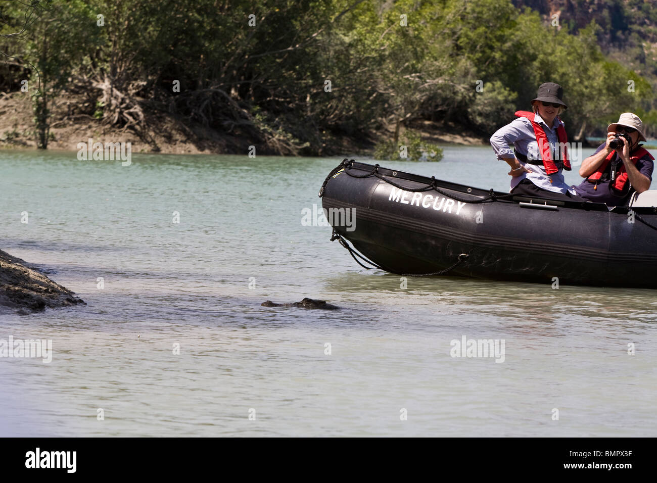 Passagiere aus der Aussie Expedition Kreuzer Orion auch einen Blick auf eine schleichende Salzwasser-Krokodil Hunter River Australien Stockfoto