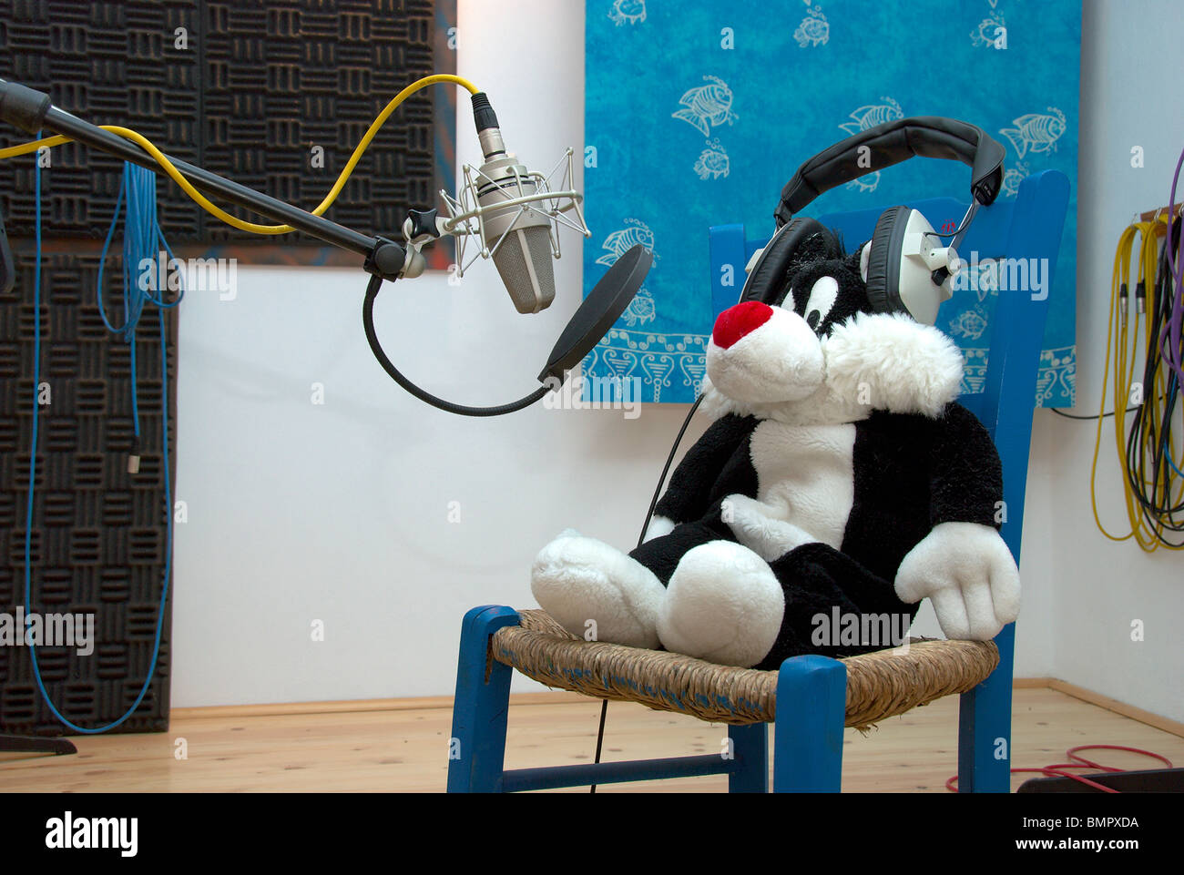 Sylvester die Katze in einem Tonstudio Stockfoto Sylvester die Katze in einem Tonstudio Stockfoto