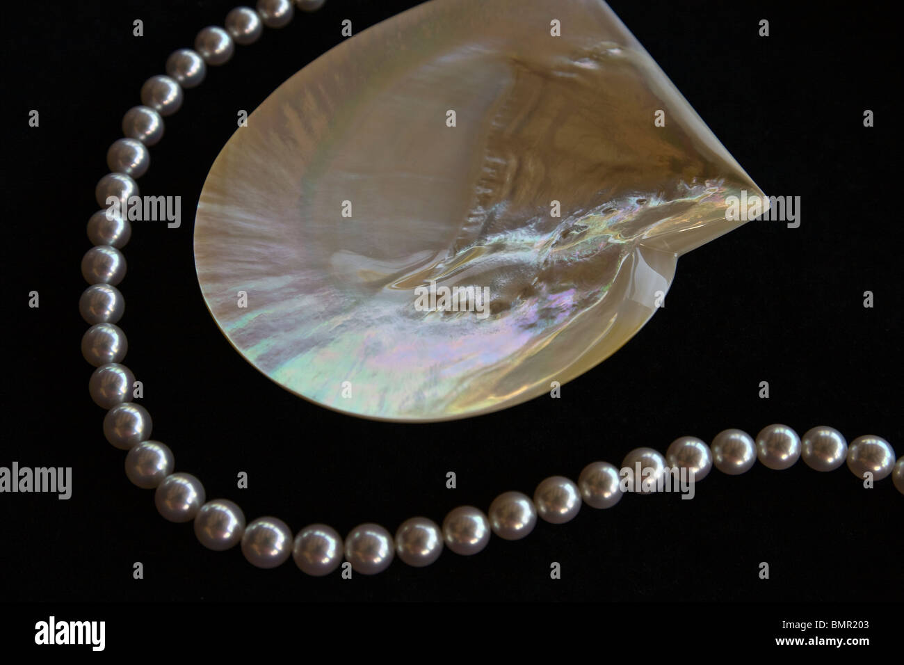 Die gedämpfte Eleganz der Paspaleys Perlen können Sie eine Kette aus glänzenden perfekt aufeinander abgestimmte Broome Perlen kaufen Stockfoto