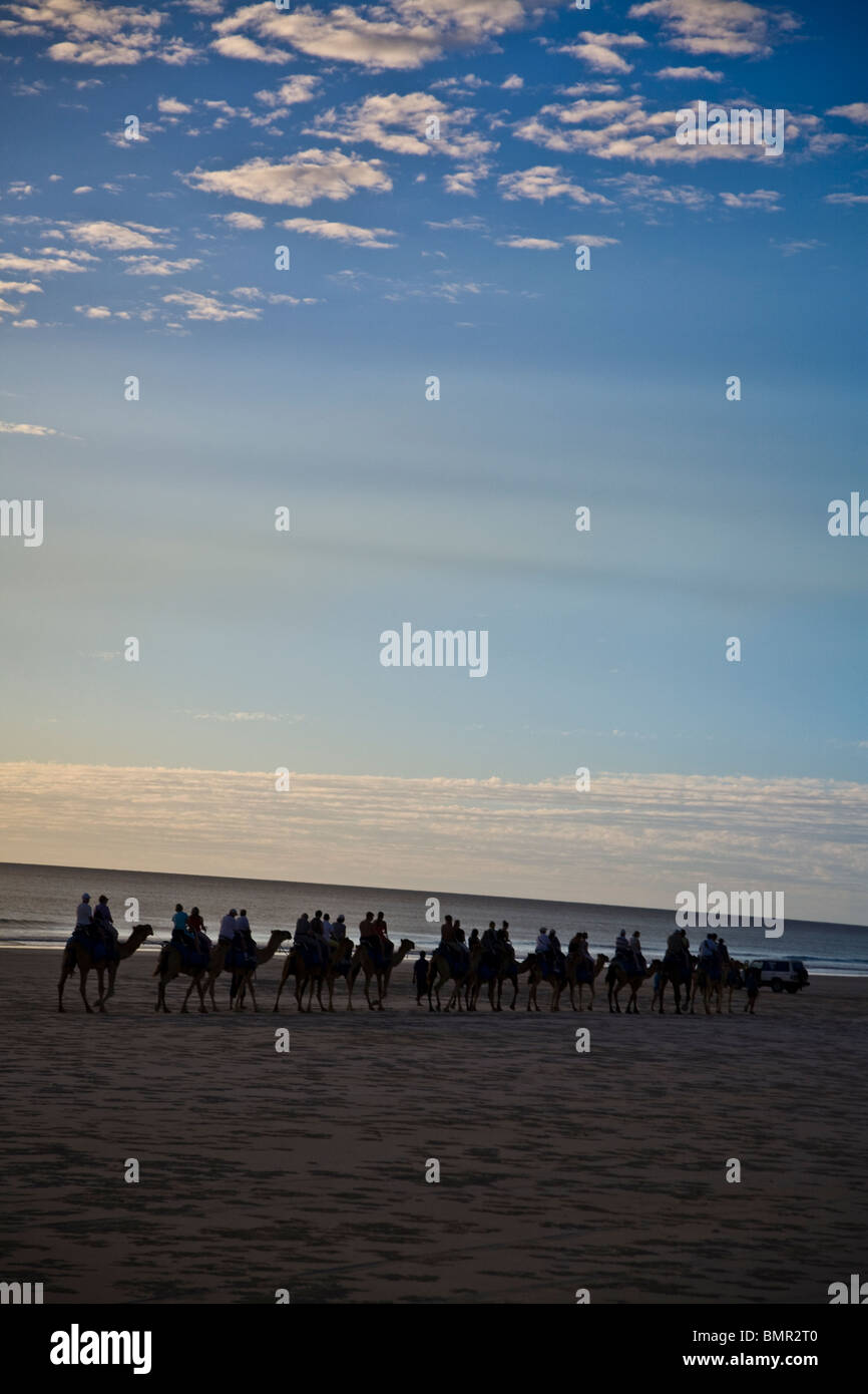 Ein Kamelritt bei Sonnenaufgang oder Sonnenuntergang am Cable Beach ist eine Besucher-Tradition in Broome Western Australia Stockfoto