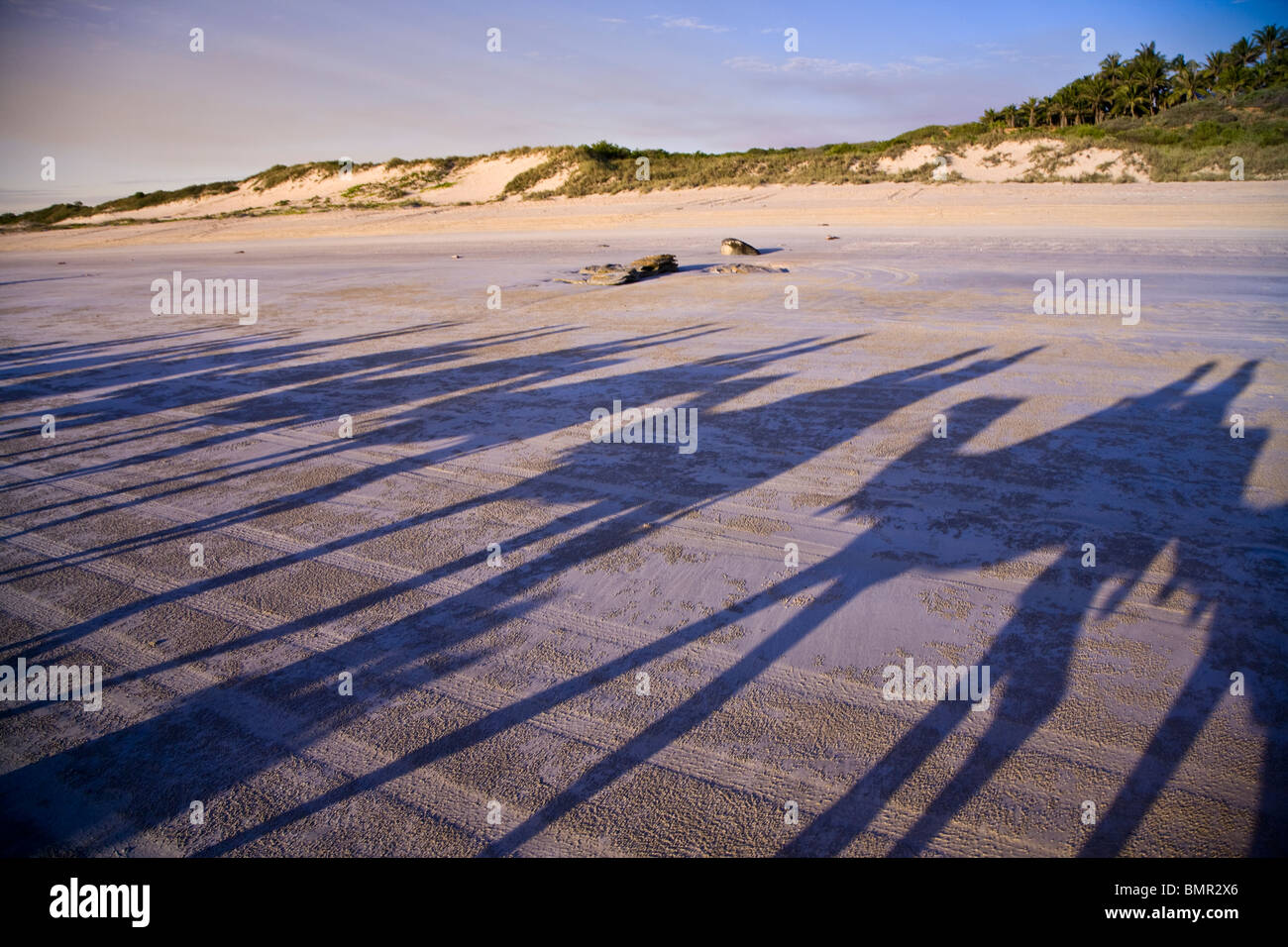 Ein Kamelritt bei Sonnenaufgang oder Sonnenuntergang am Cable Beach ist eine Besucher-Tradition in Broome Western Australia Stockfoto