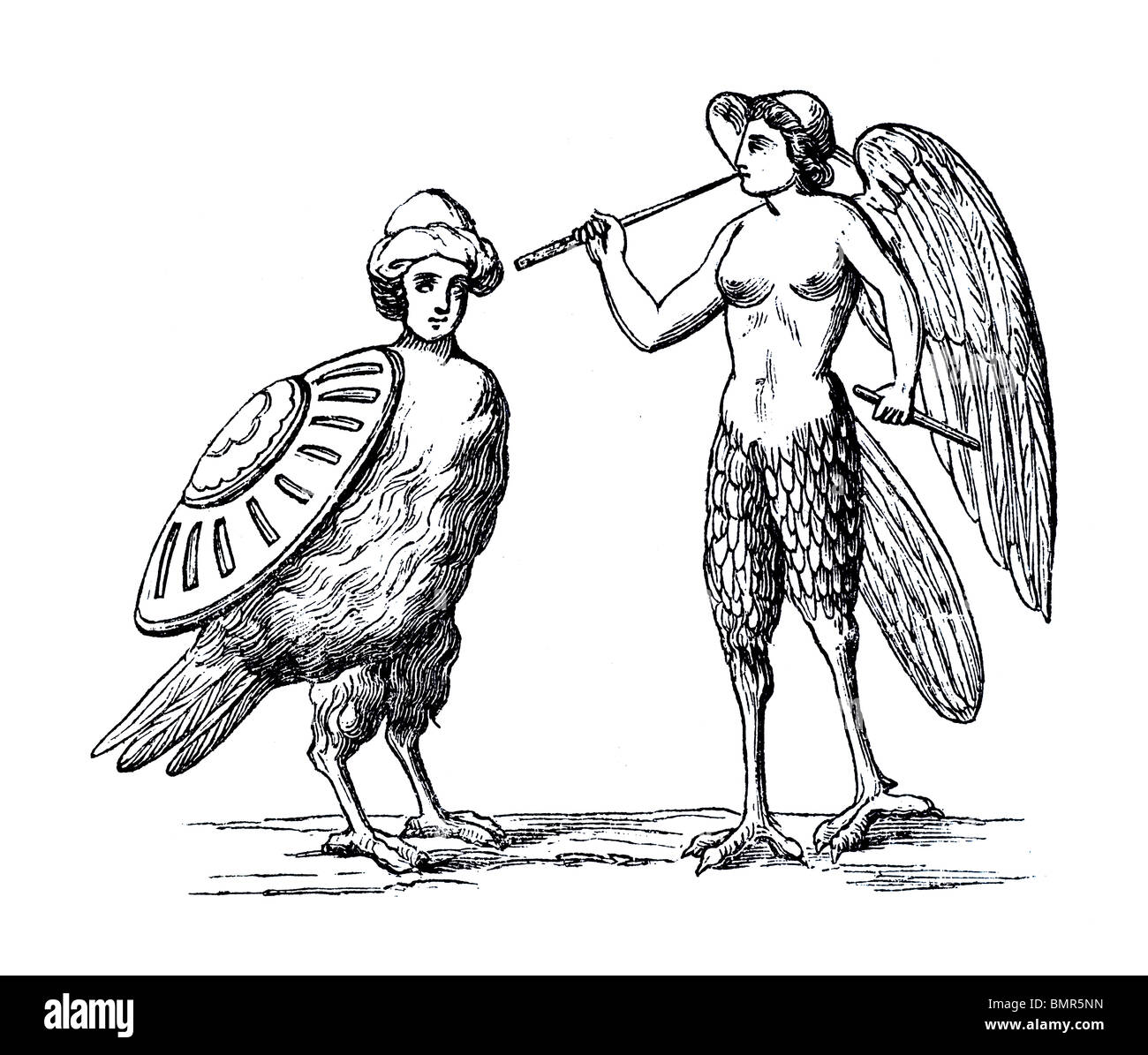 Harpyien Stockfoto
