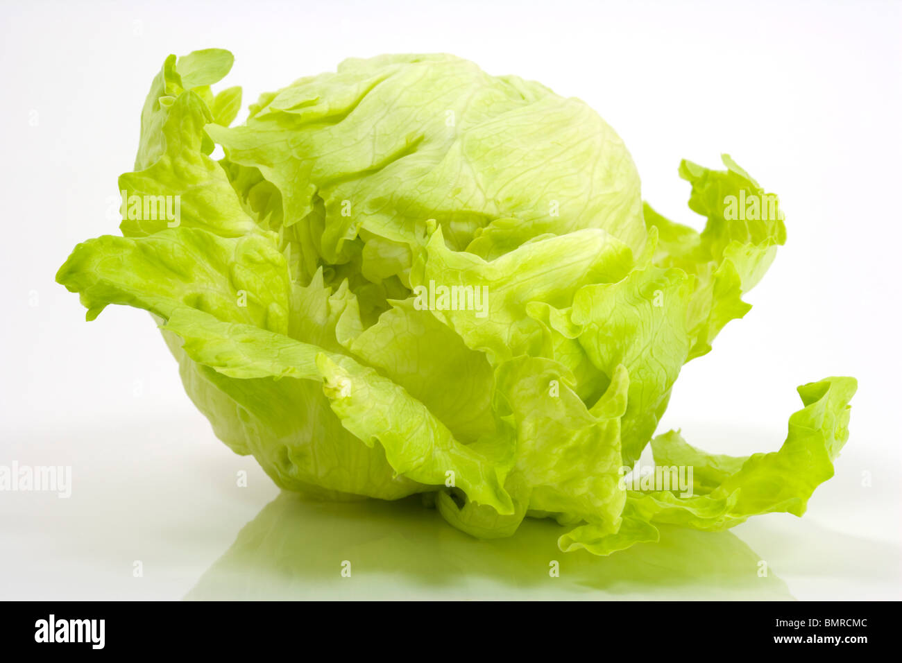 Eisbergsalat auf weißem Hintergrund Stockfoto