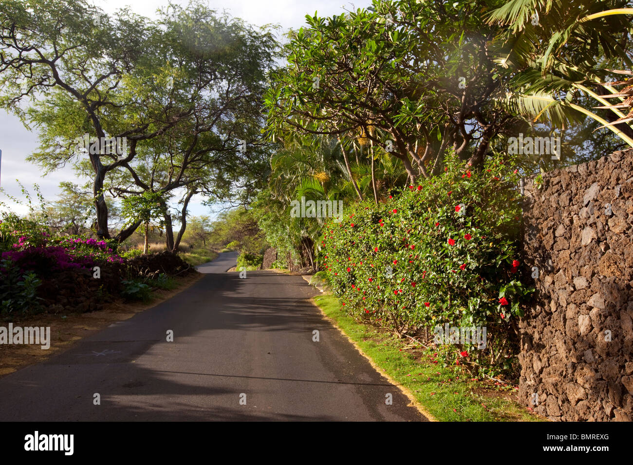 Weg zum Ahihi-Kinau Natural Area Reserve, Maui, Hawaii Stockfoto