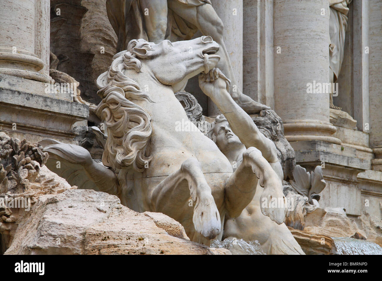 Nahaufnahme von einem Pferd Statue am Trevi-Brunnen, Rione Trevi, Rom Stockfoto