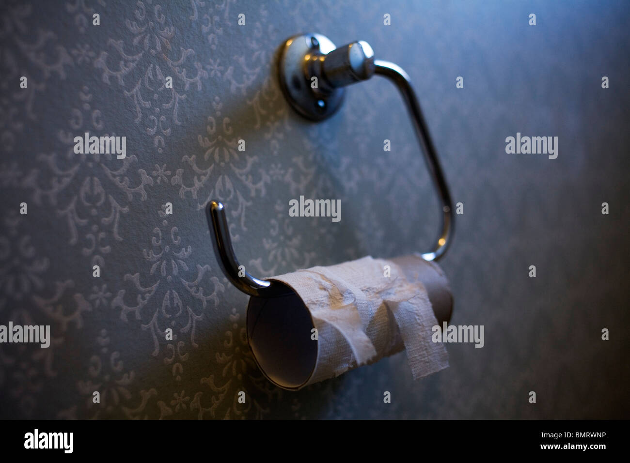 Verwendeten WC-Papierrolle. Stockfoto