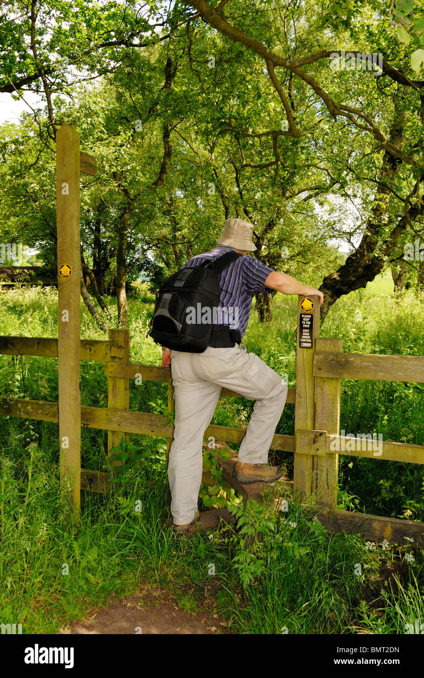 Walker, Klettern über einen Stil auf dem Sandstein-Trail in Cheshire. Stockfoto
