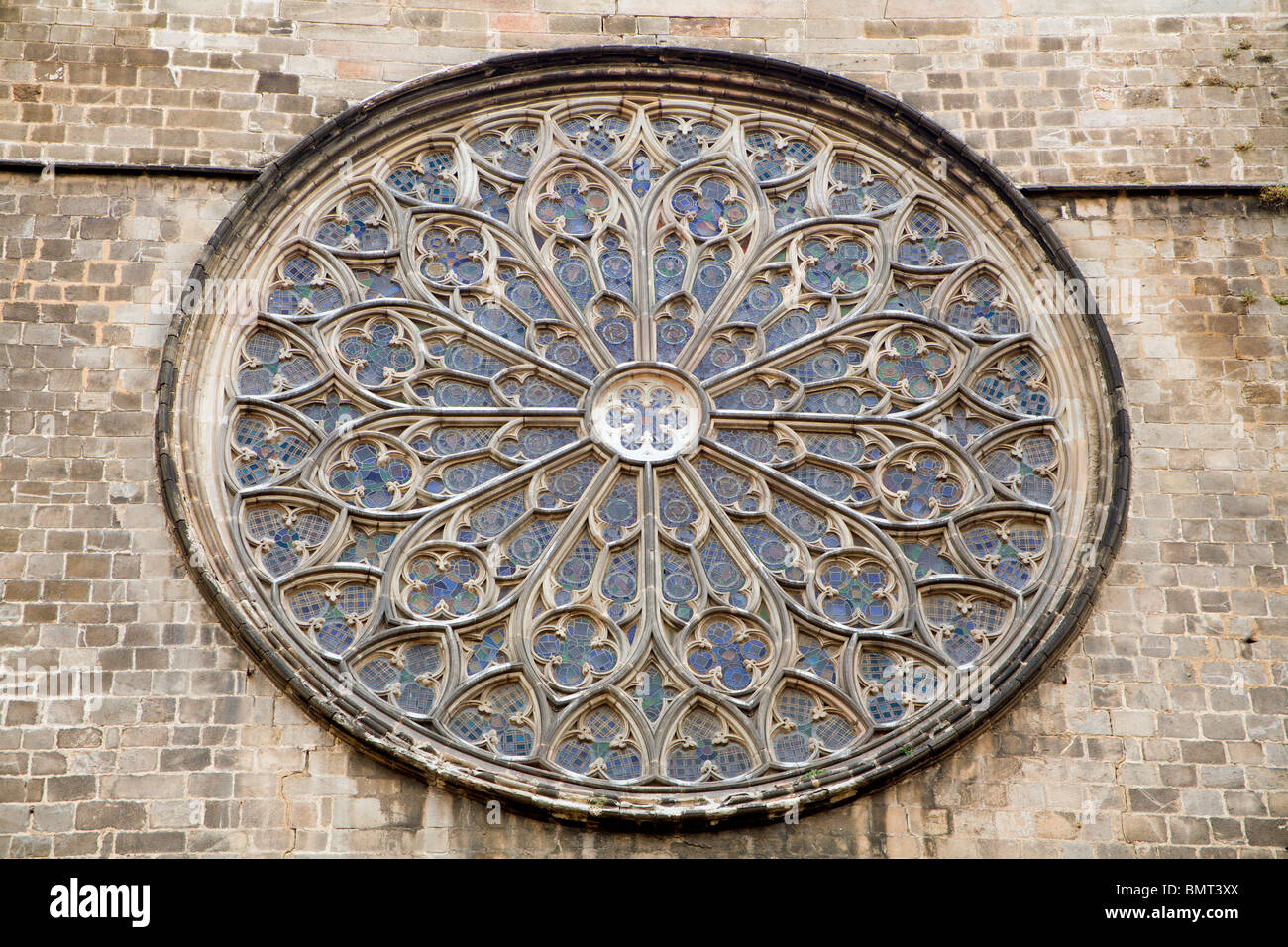 Barcelona - Rosette der gotischen Kirche Santa Maria del Pi Stockfoto