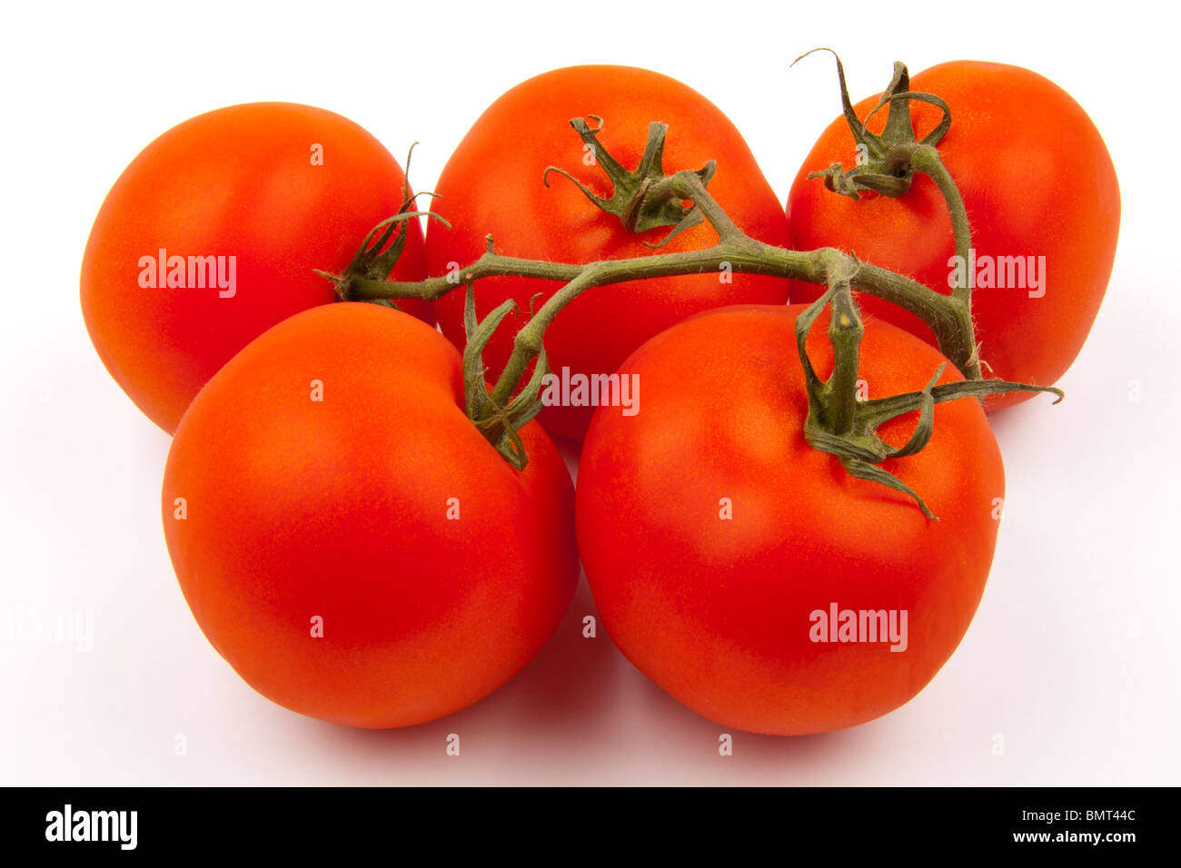 Fünf frische Tomaten, isoliert auf weißem Hintergrund Stockfoto