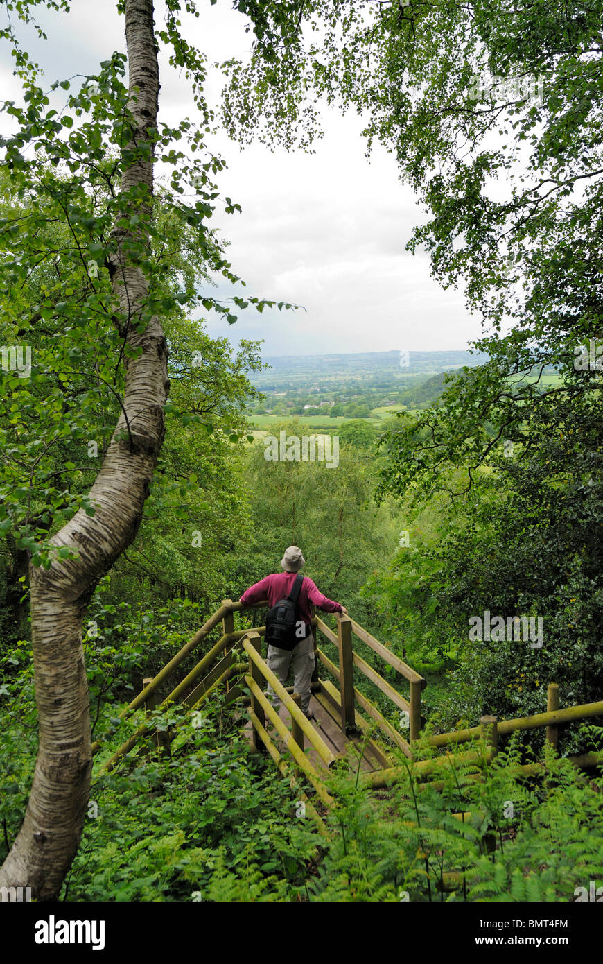 Genießen Sie den Blick über den Cheshire-Ebenen aus Sandstein Trail Walker. Stockfoto