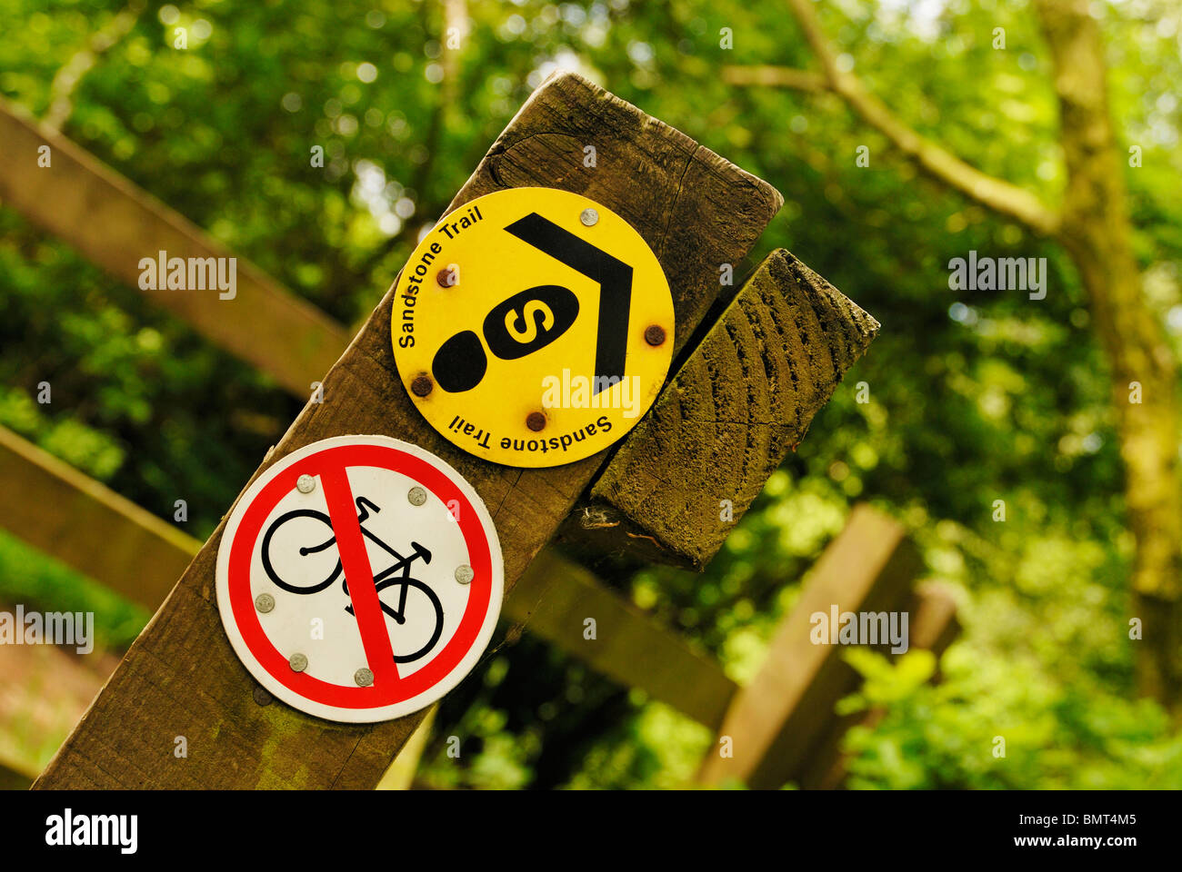 Richtung und keine Radsport Anzeichen auf Sandstein-Tour in Cheshire. Stockfoto