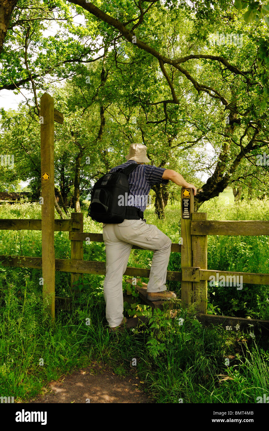 Walker, Klettern über einen Stil auf dem Sandstein-Trail in Cheshire. Stockfoto