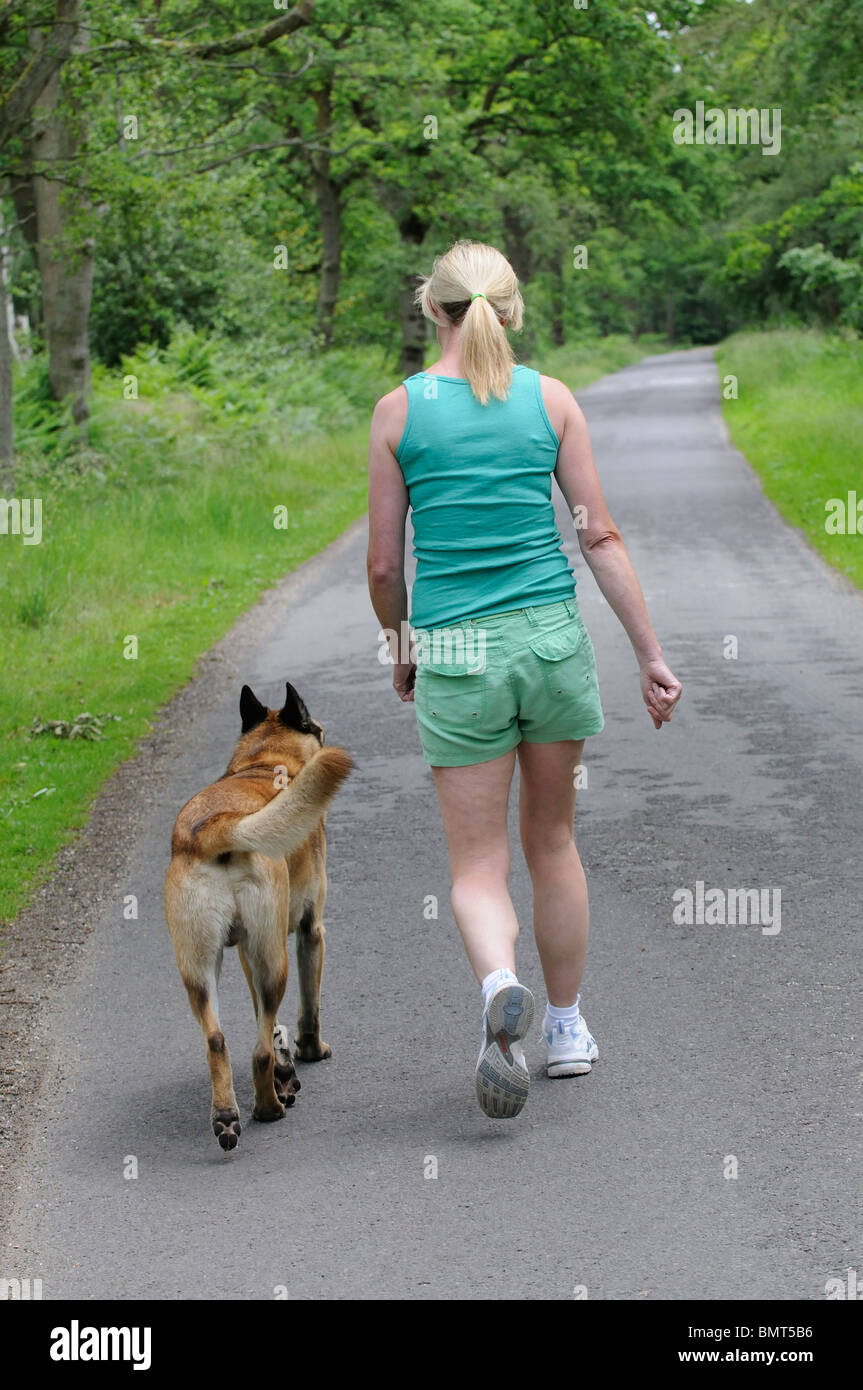 Frau mit einem belgischen Schäferhund-Hund zu Fuß auf der Straße in die Landschaft Berkshire England UK Stockfoto