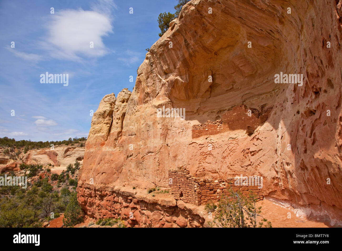 Alten Puebloan Klippe Wohnung entlang Sand Canyon Trail, Schluchten des alten National Monument in der Nähe von Cortez, Colorado, USA Stockfoto