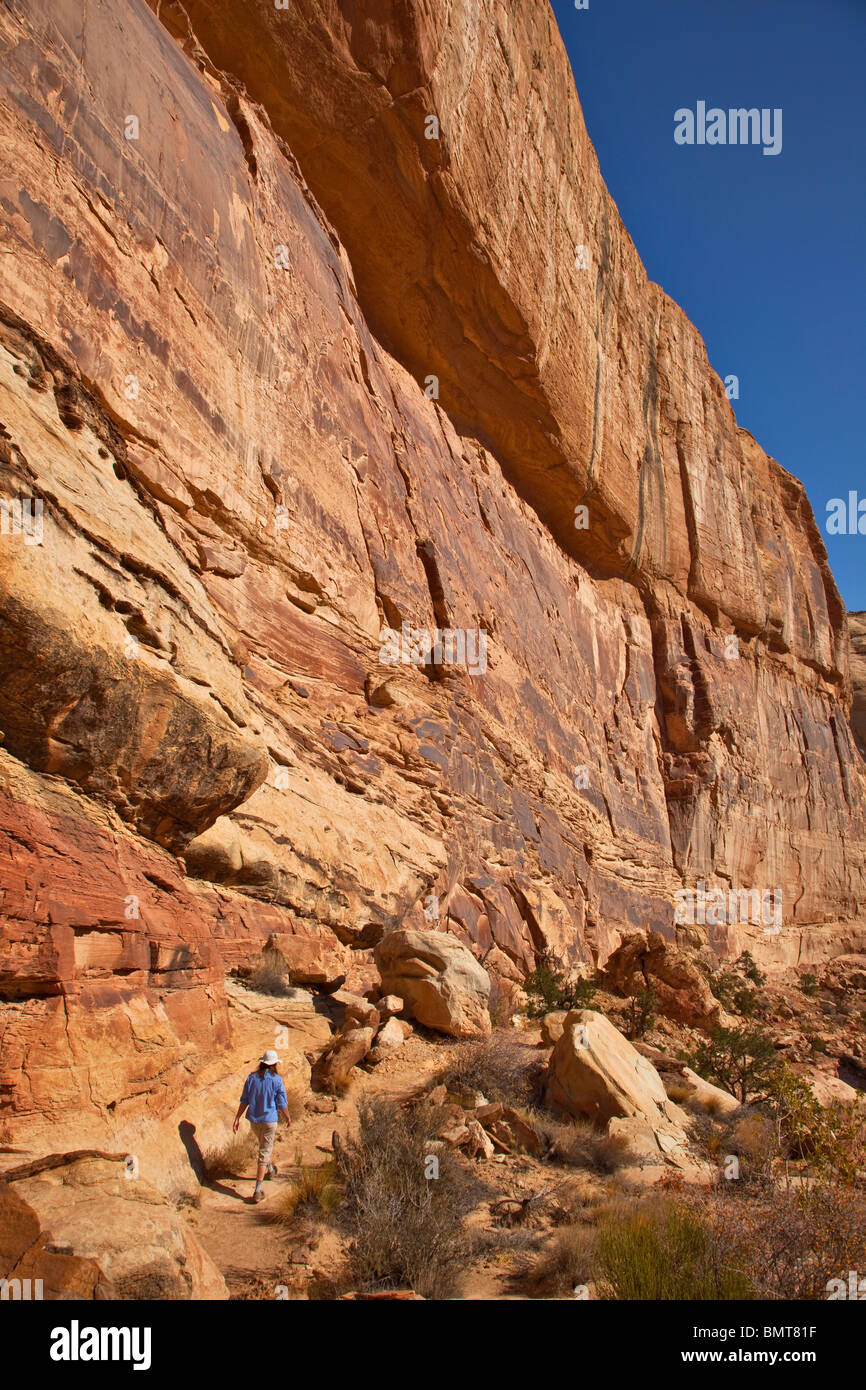 Wanderer auf goldenen Thron Trail im Capitol Reef National Park, Utah, USA Stockfoto