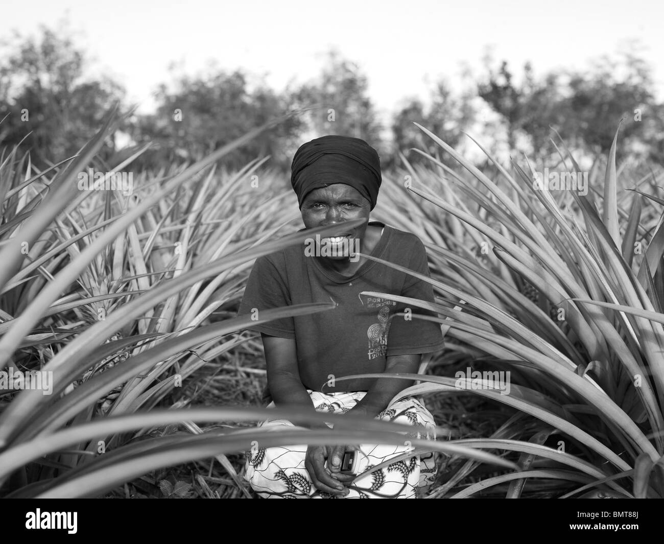 Afrikanische Dame in einem Ananas-Feld nach dem Völkermord in Ruanda Stockfoto