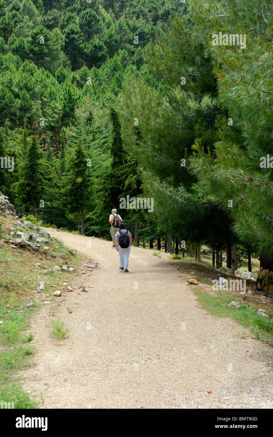 2 Wanderer im Nationalpark Sierra De Espuna Stockfoto