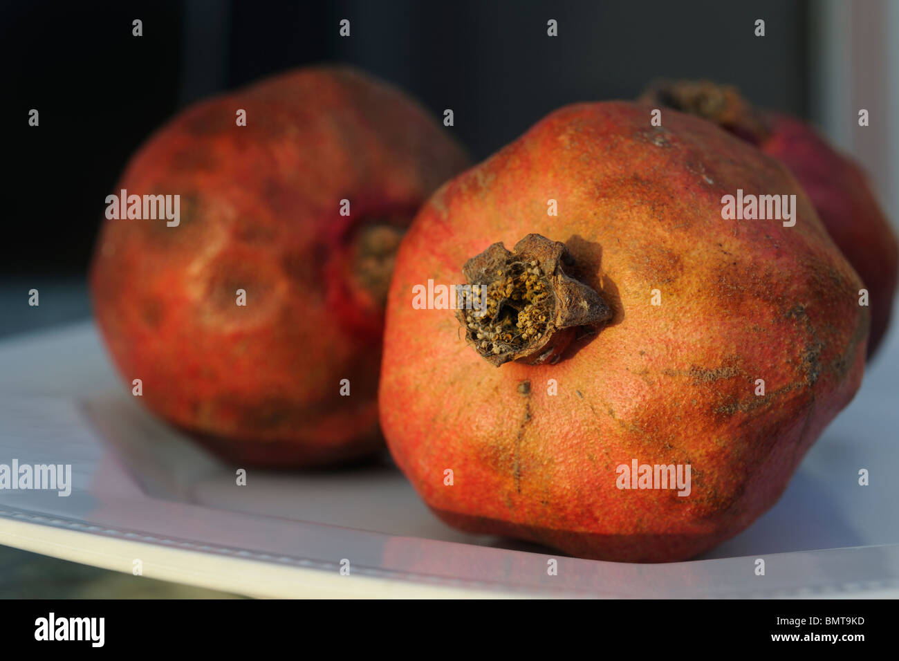 Granatäpfel (Punica Granatum) auf einem weißen Teller Stockfoto