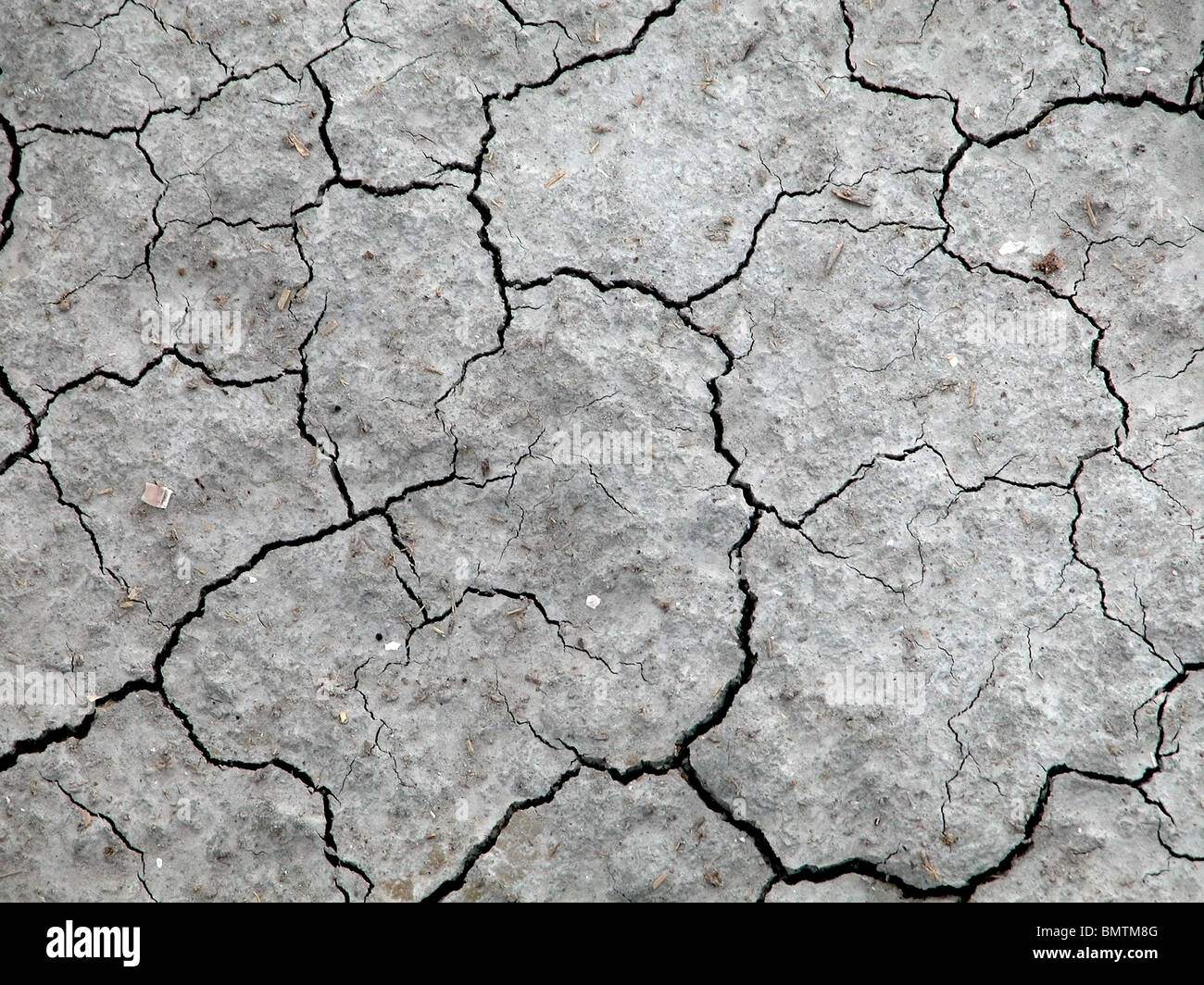 Wüste trockener Erde Umwelt Makro Stockfoto