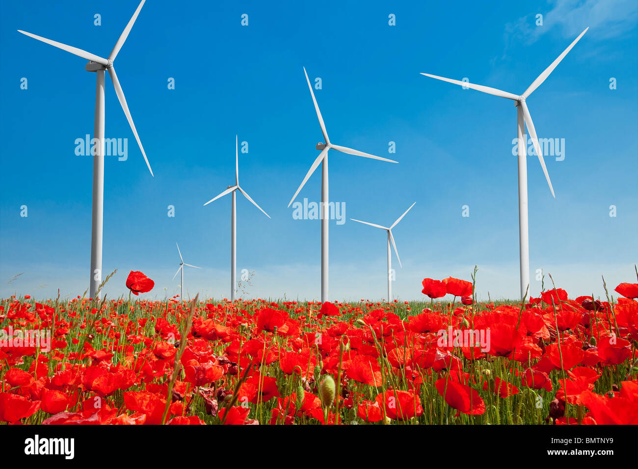 WINDKRAFTANLAGE IN EINEM MOHNFELD Stockfoto