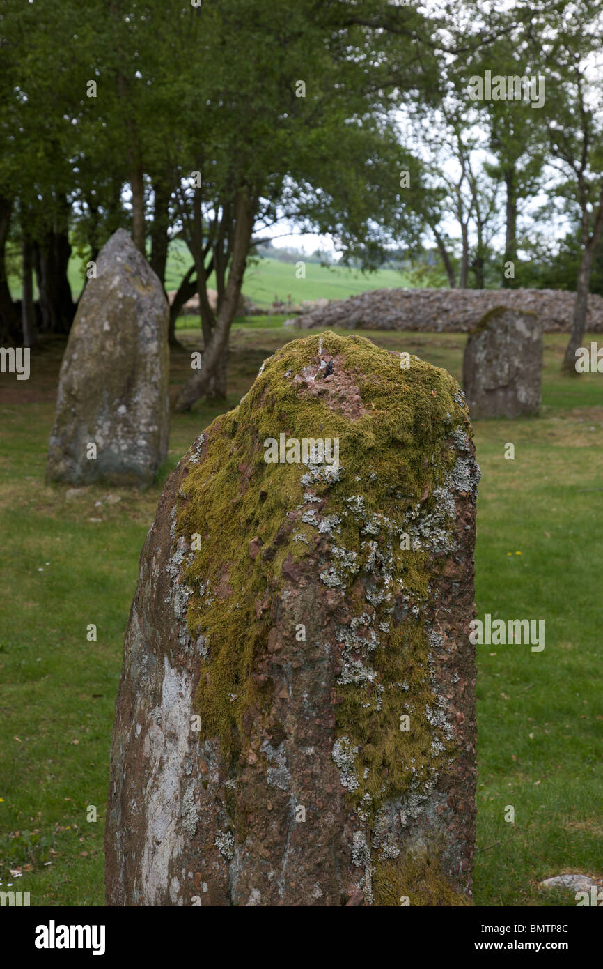 Balnuaran von Schloten prähistorischen Friedhof in der Nähe von Inverness, Schottland. 4000 JAHRE ALTEN RING CAIRN UND DURCHGANG GRÄBER Stockfoto