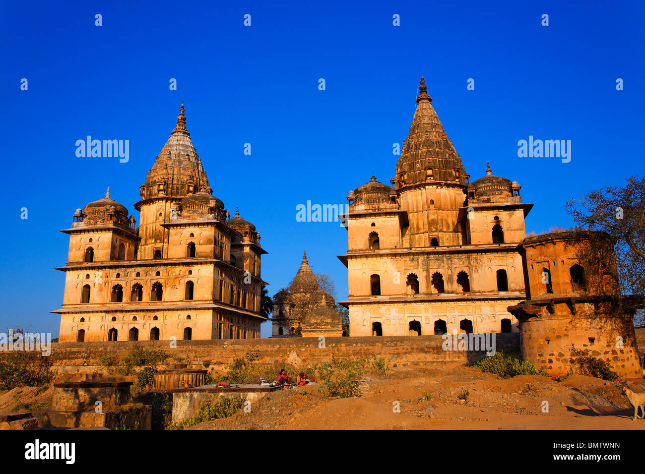Chhatris, Orchha, Madhya Pradesh, Indien Stockfoto