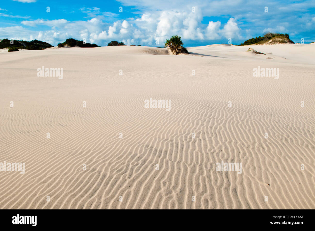 Küsten Sanddünen, Moreton Island, Queensland, Australien Stockfoto