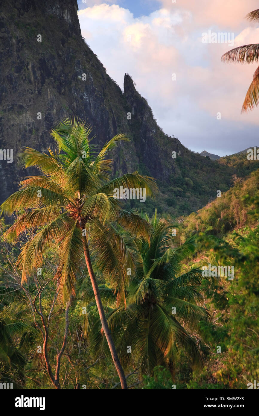 Karibik, St. Lucia, Jalousie-Kokosnuss-Plantage und Petit Piton Berge Stockfoto