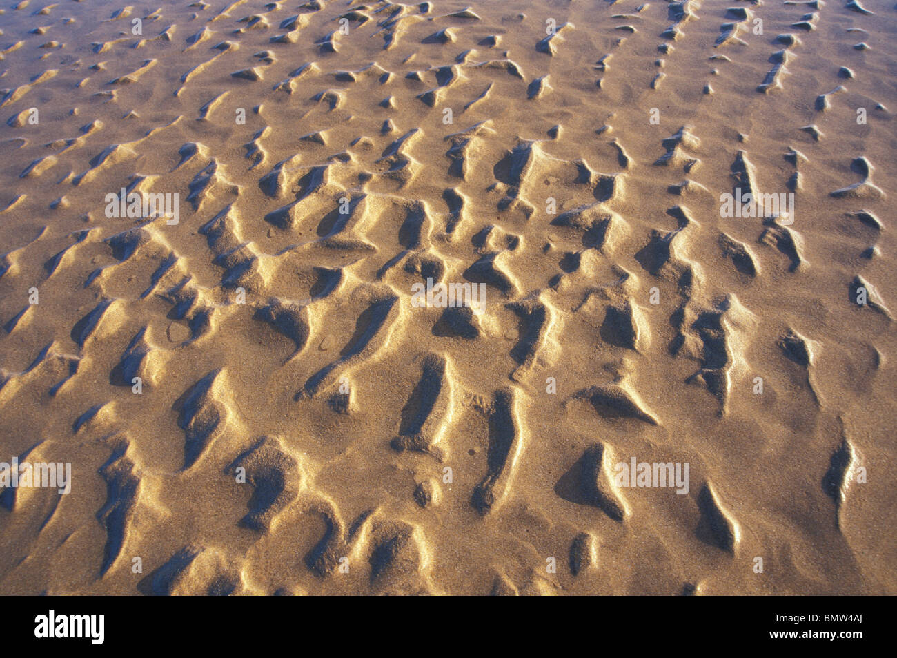 Ripple Spuren im Sand, Freshwater West, Pembrokeshire Coast National Park, West Wales, UK, Europa Stockfoto