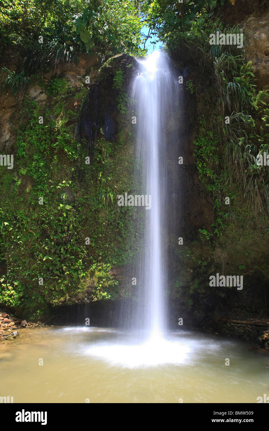 Karibik, St. Lucia, Toraille Wasserfall Stockfoto