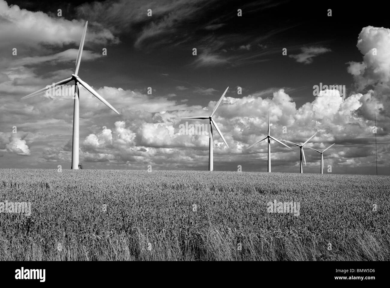 Windkraftanlagen Sie auf dem Westmill Windfarm kooperative in Oxfordshire, Vereinigtes Königreich. Stockfoto