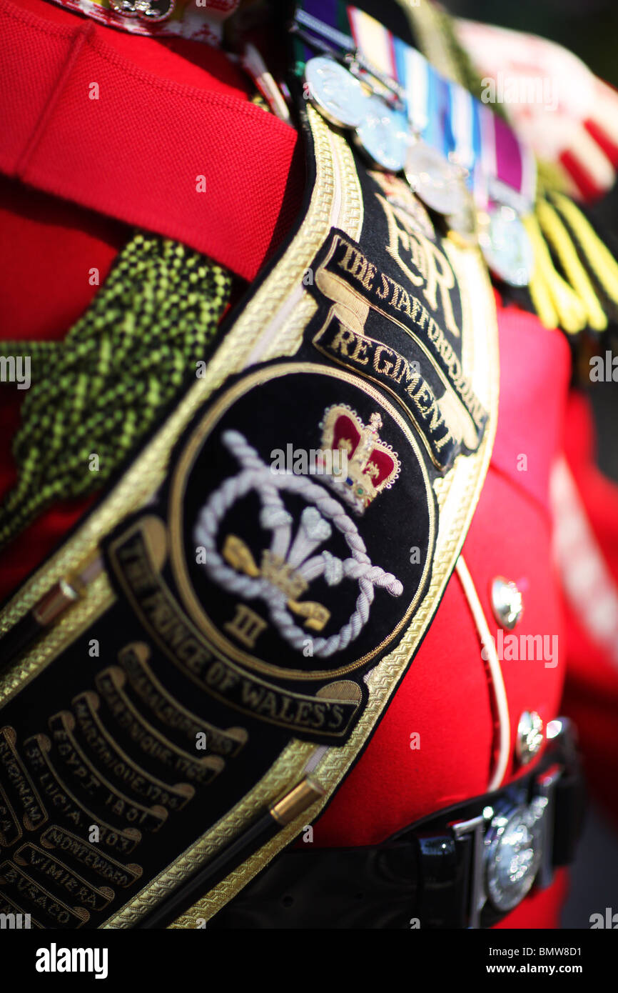 Der Staffordshire Regiment Farbe Sergeant - wurde das Regiment des 3rd Battalion der Mercian Regiment Stockfoto