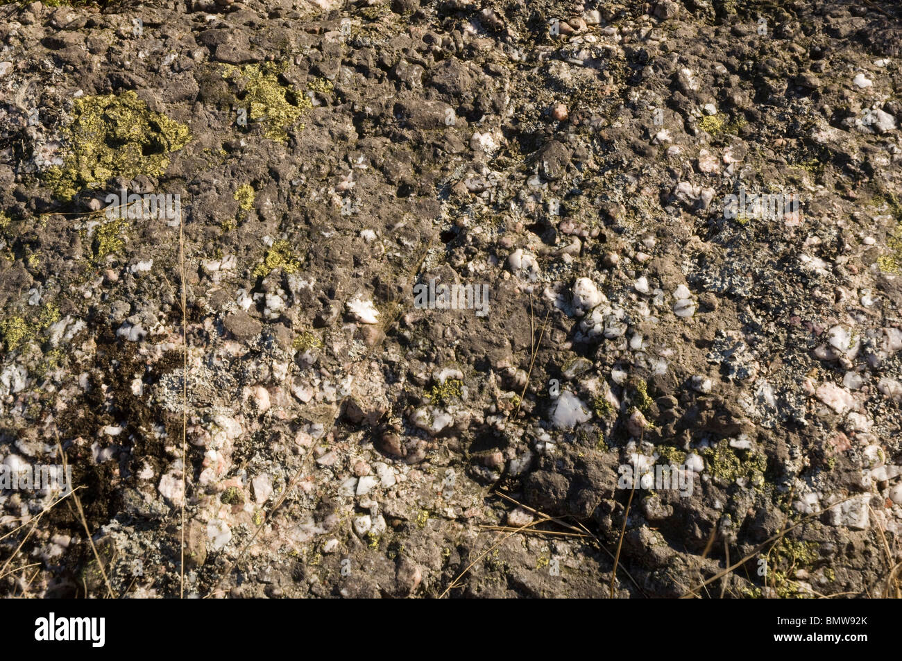 Mühlstein Grit, Black Mountain, Mynyddd Du, Swansea Tal, Brecon Beacons National Park, Wales, UK, Europa Stockfoto