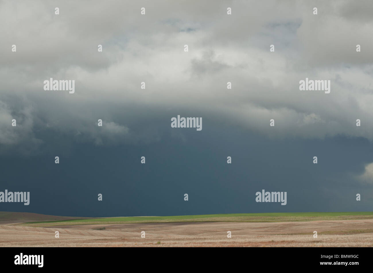 Gewitterwolken über eine brach liegende Weizenfeld im östlichen Oregon. Stockfoto