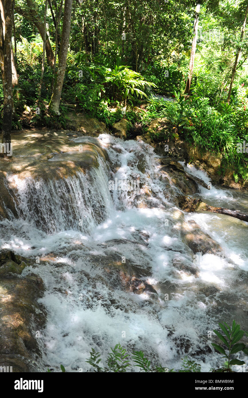 Dunn River Wasserfälle in Ocho Rios, Jamaika Stockfoto